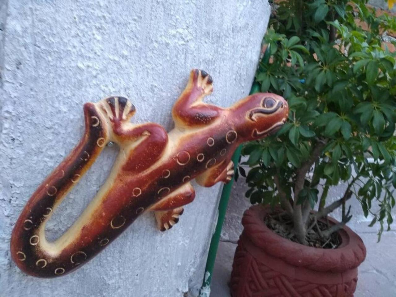 Casa Alebrijes Villa Tequila Exteriör bild